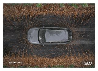 Quattro: Magnetic Force - Wet Road